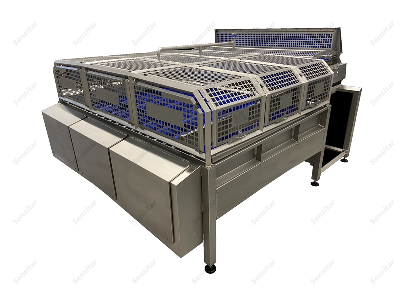 去皮土豆分级机